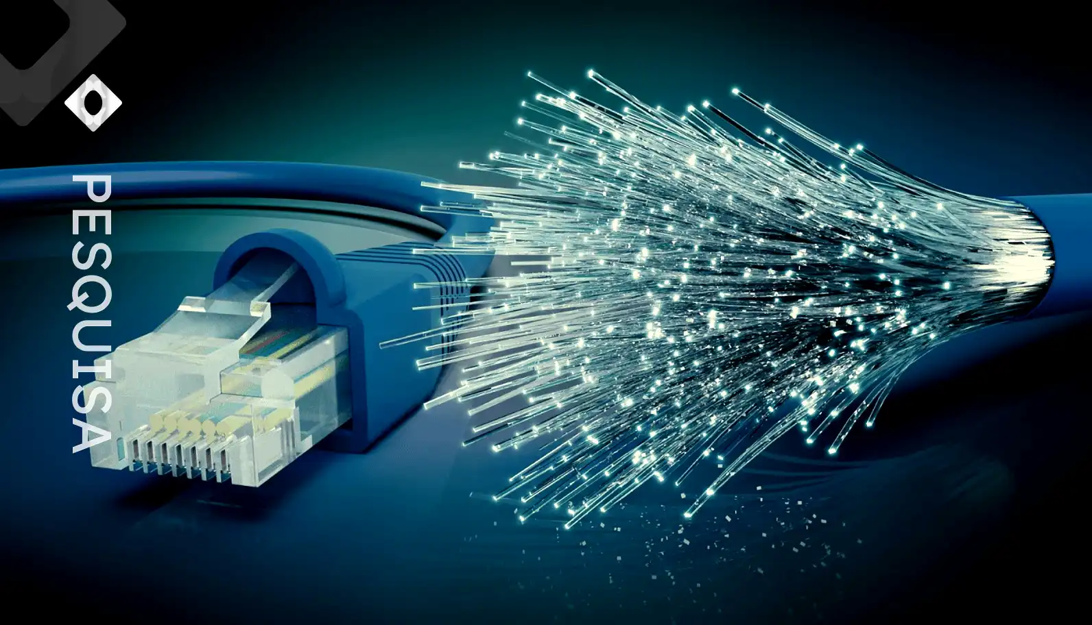 Imagem da tese A fibra virou alvo.